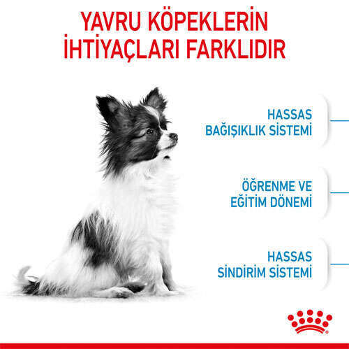 Royal Canin Xsmall Puppy Yavru Köpek Maması 3 kg