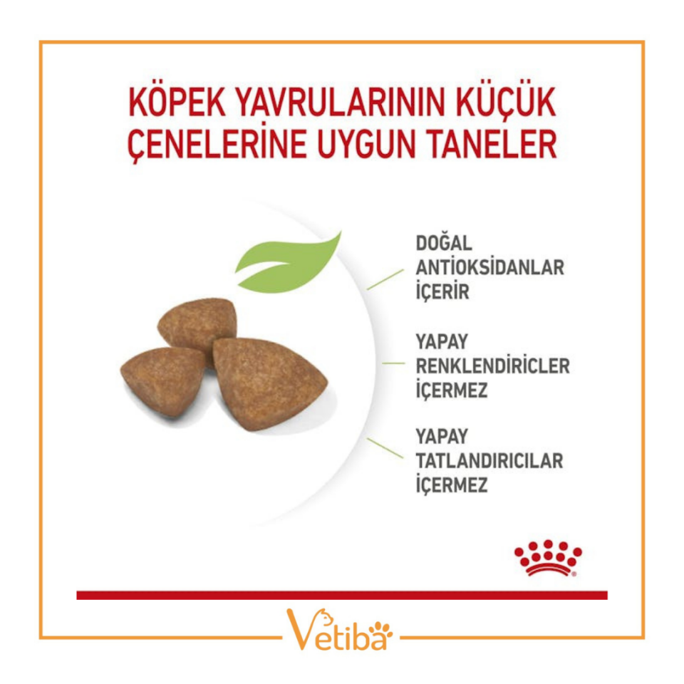 Royal Canin Xsmall Puppy Yavru Köpek Maması 3 kg