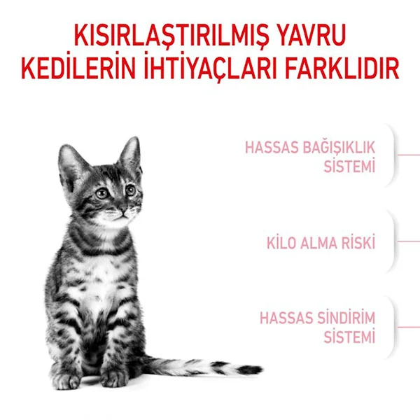 Royal Canin Kitten Sterilised Kısır Yavru Kedi Maması 2 kg