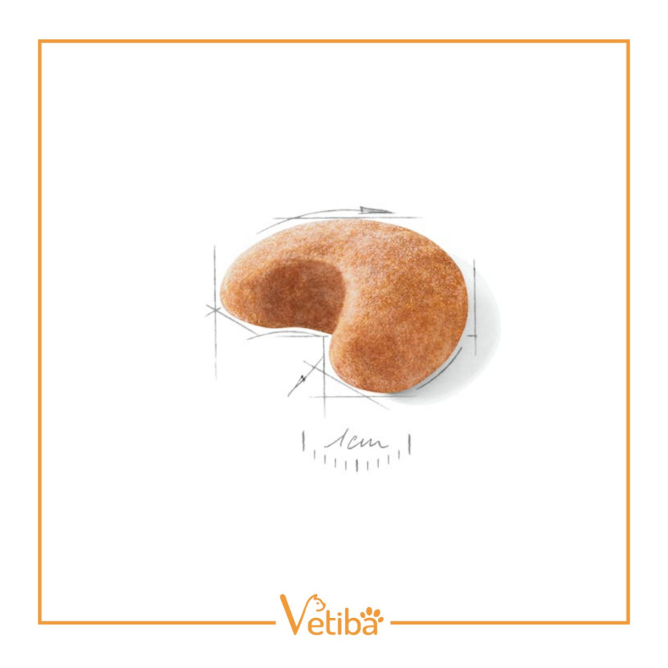 Royal Canin French Bulldog Yetişkin Köpek Maması 3 kg