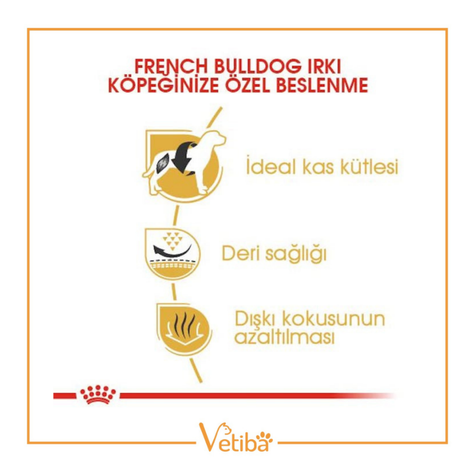 Royal Canin French Bulldog Yetişkin Köpek Maması 3 kg