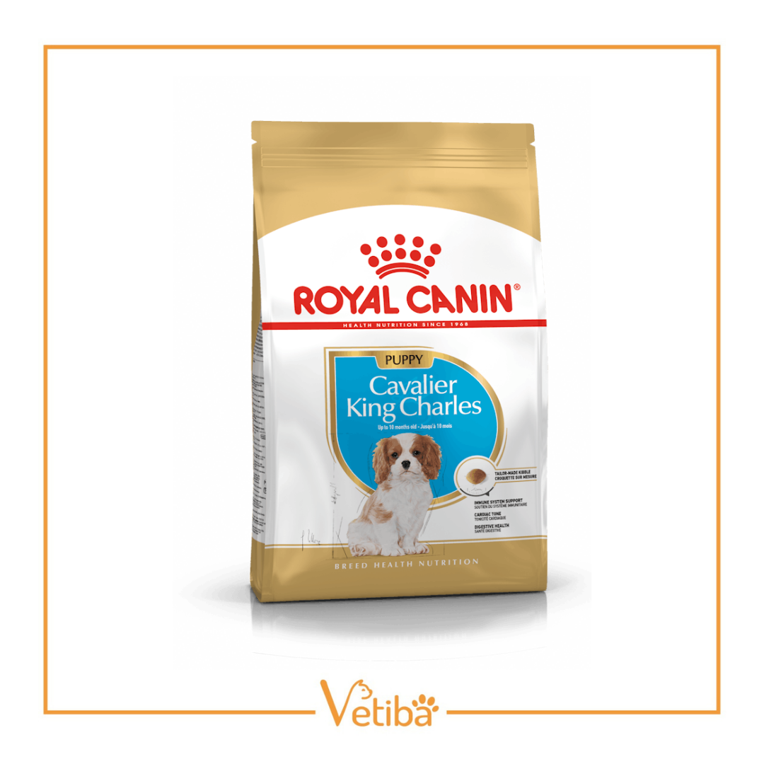 Royal Canin Cavalier King Charles Puppy Yavru Köpek Maması 1,5 kg