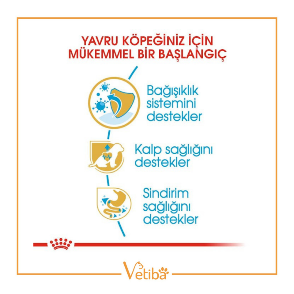 Royal Canin Cavalier King Charles Puppy Yavru Köpek Maması 1,5 kg
