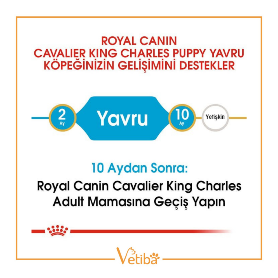 Royal Canin Cavalier King Charles Puppy Yavru Köpek Maması 1,5 kg