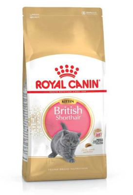 Royal Canin British Shorthair Kitten Yavru Kedi Maması 2 kg