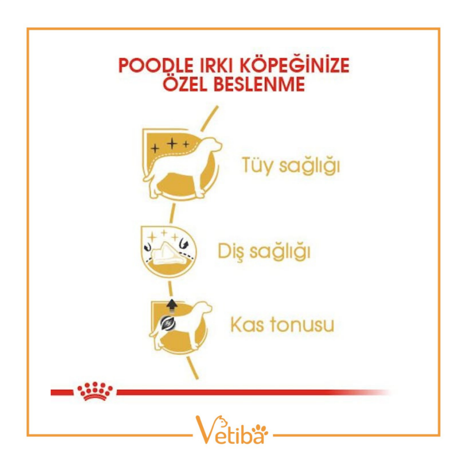 Royal Canin Poodle Yetişkin Köpek Maması 3 Kg