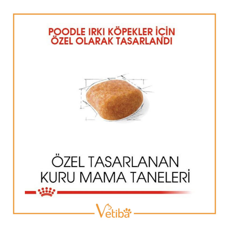 Royal Canin Poodle Yetişkin Köpek Maması 3 Kg