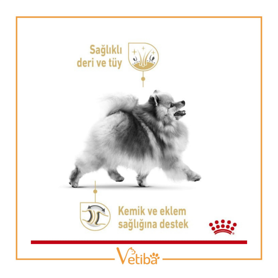 Royal Canin Pomeranian Yetişkin Köpek Maması 3 kg