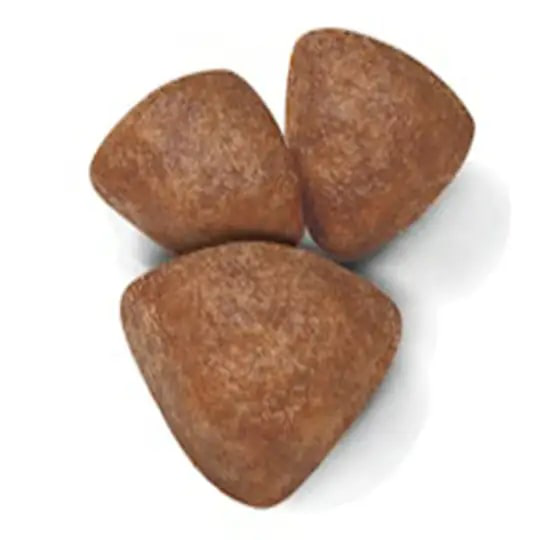 Royal Canin Mini Starter Yavru Köpek Maması 4 kg