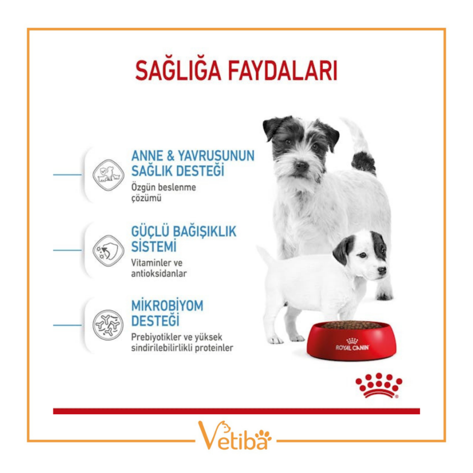 Royal Canin Mini Starter Yavru Köpek Maması 4 kg