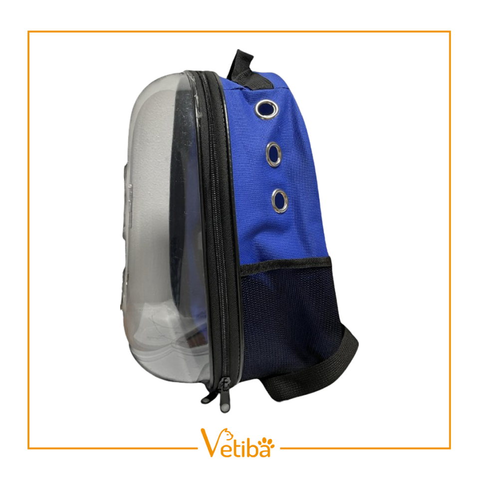 İbapet Şeffaf Sırt Çantası (Mavi)