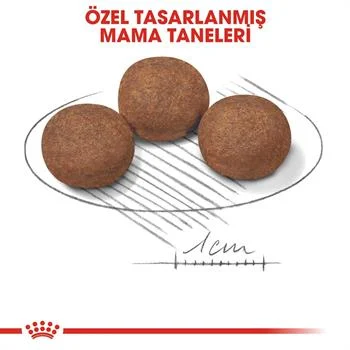 Royal Canin Medium Puppy Yavru Köpek Maması 15 kg