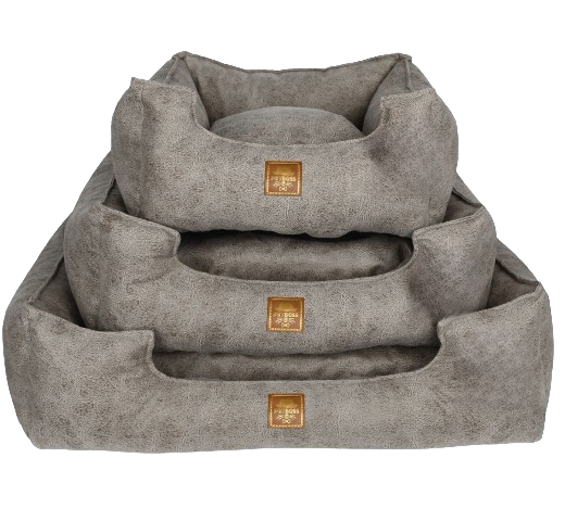 Petboss Üçlü Set S (Gri)