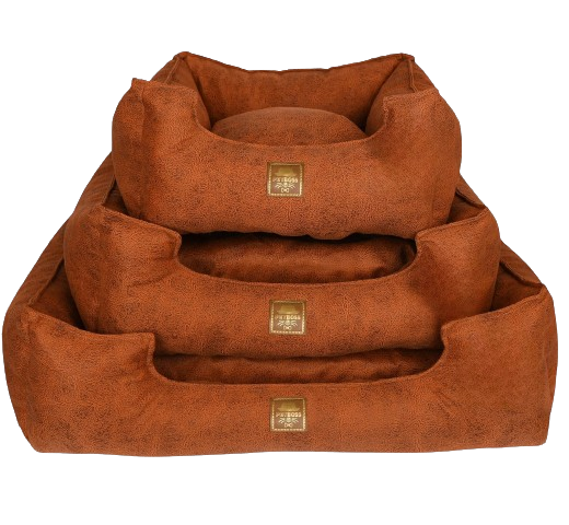 Petboss Üçlü Set S (Turuncu)