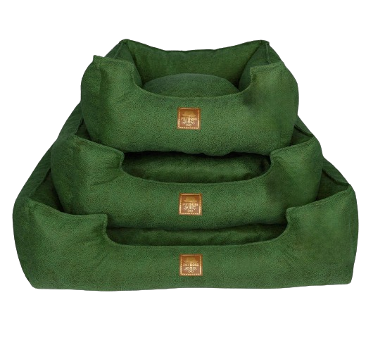 Petboss Üçlü Set S (Yeşil)