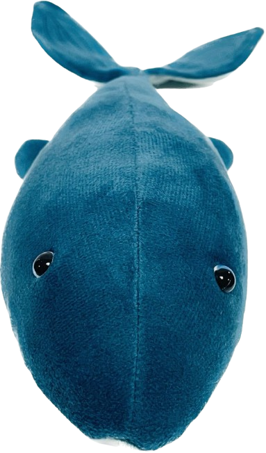 Balina Kedi Köpek Oyuncak 27cm