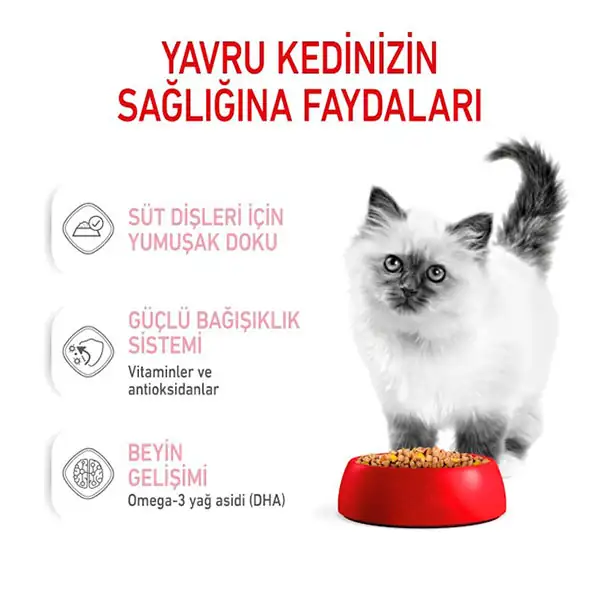 Royal Canin Kitten Jelly Yavru Kedi Yaş Mama 85 gr
