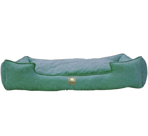 Petboss Kıng XXL (Turkuaz)