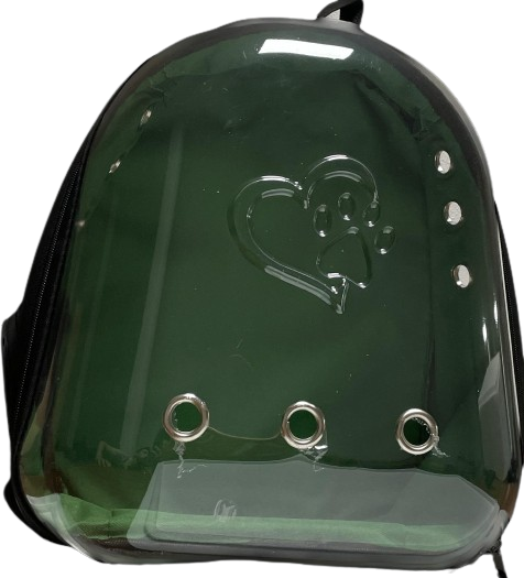 İbapet Şeffaf Sırt Çantası (Yeşil)