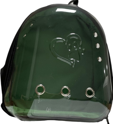 İbapet Şeffaf Sırt Çantası (Yeşil)
