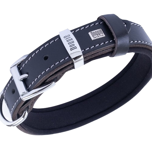 Doggie Konfor Deri Kemik Desenli Boyun Tasması Siyah 2,5X37-45Cm