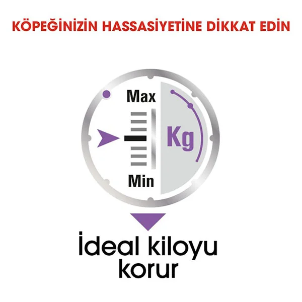 Royal Canin Sterilısed Yetişkin Köpek Yaş Maması 85 g