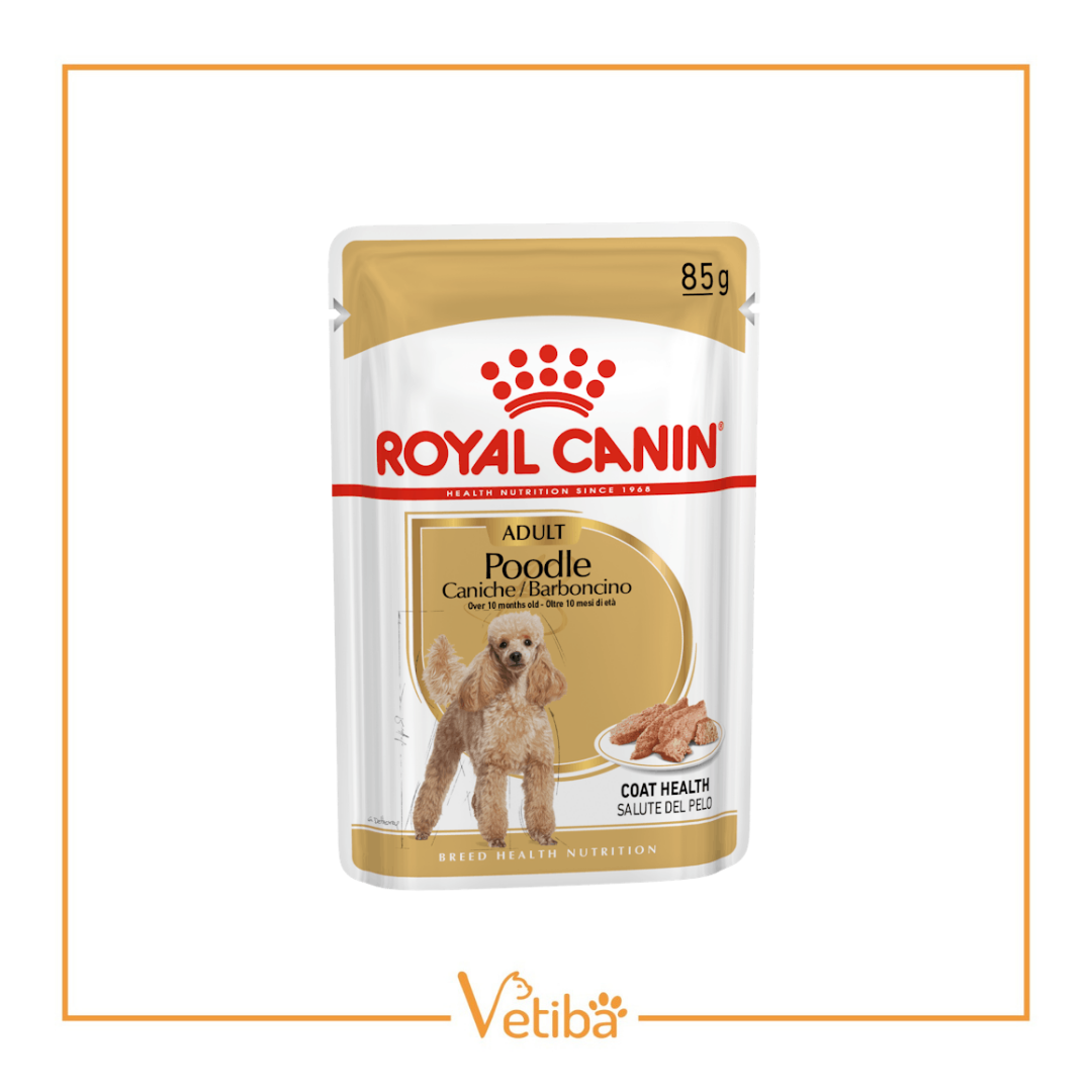 Royal Canin Poodle Yetişkin Köpek Yaş Maması 85 g