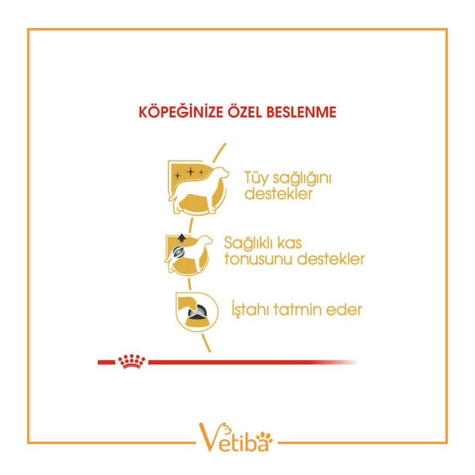 Royal Canin Poodle Yetişkin Köpek Yaş Maması 85 g