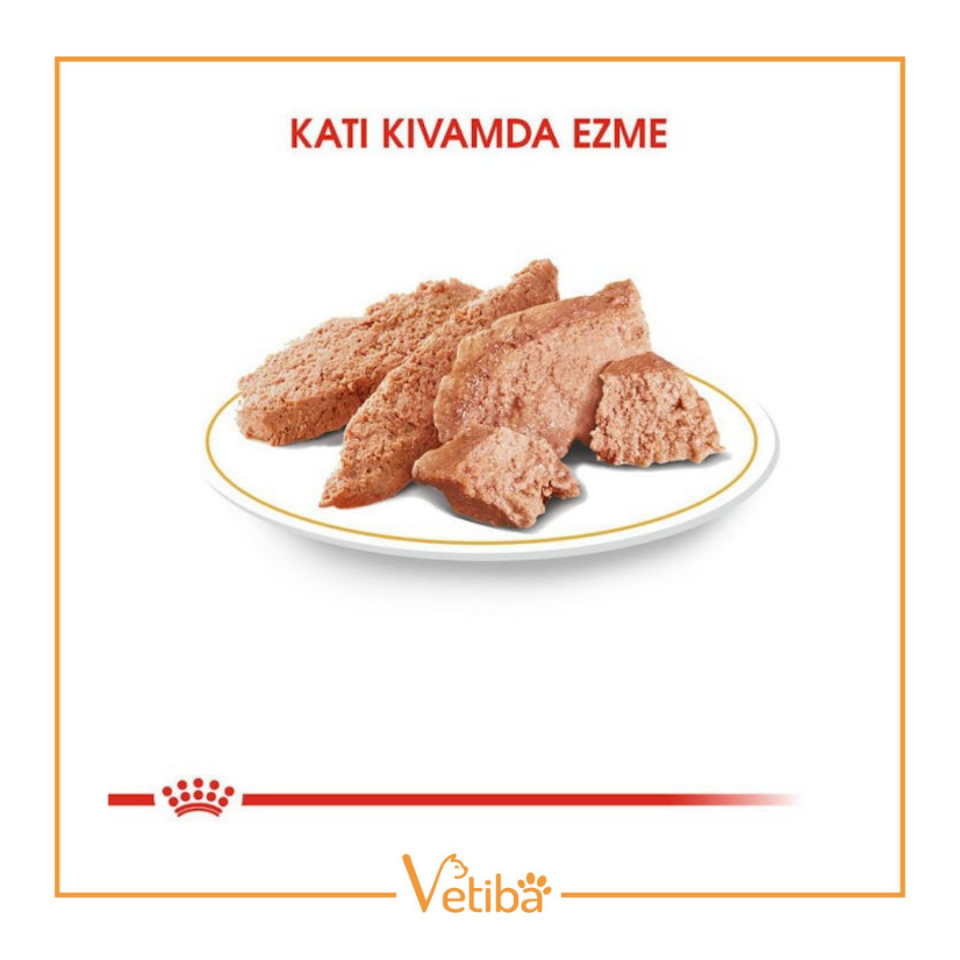 Royal Canin Poodle Yetişkin Köpek Yaş Maması 85 g