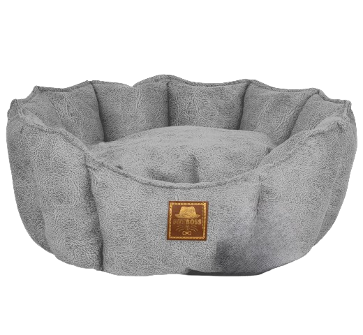 Petboss İstiridye S (Gri)