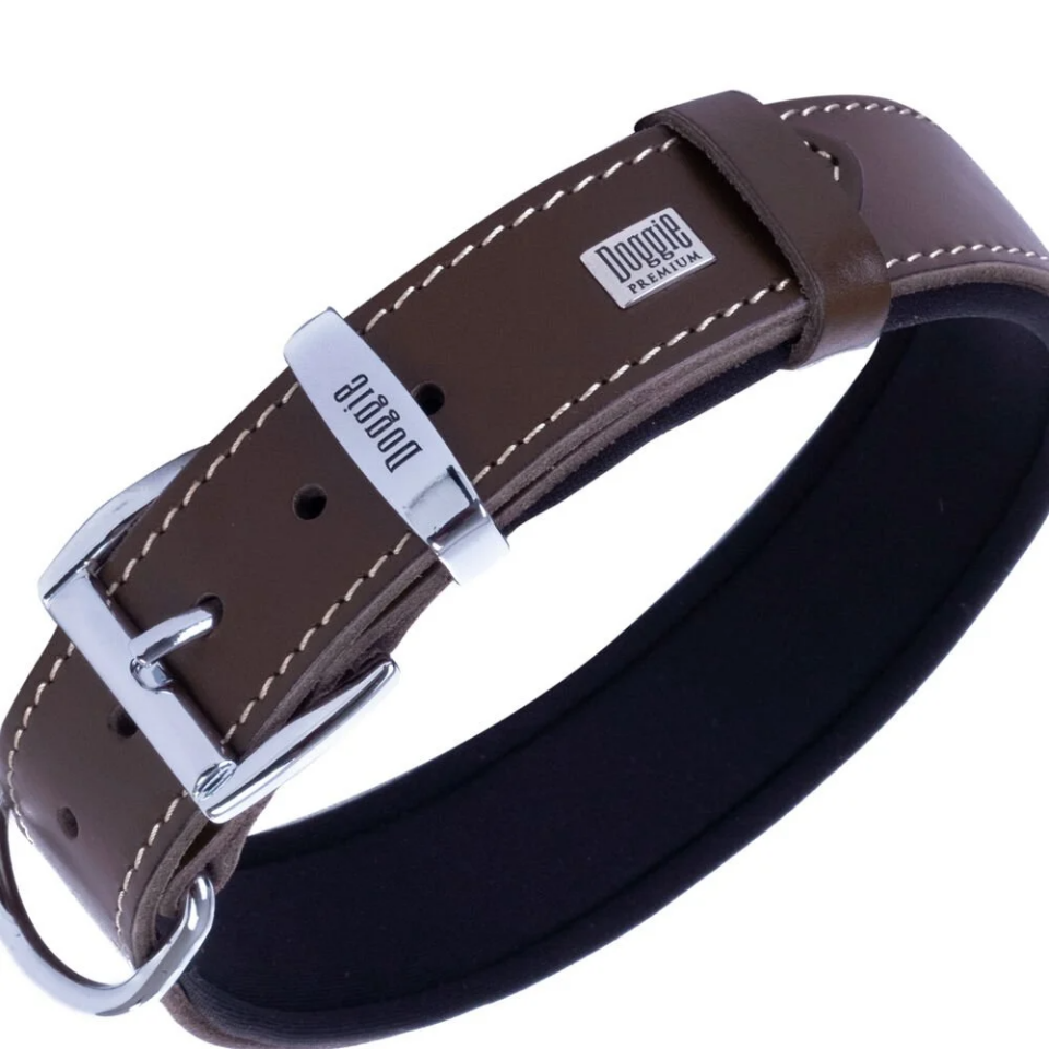 Doggie Konfor Deri Kemik Desenli Boyun Tasması Kahve 3,5X47-55Cm