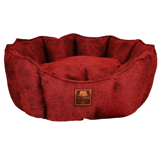 Petboss İstiridye S (Kırmızı)