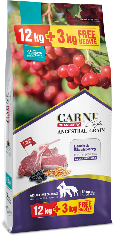 Carni Life Ancestral Grain Kuzu Etli Böğürtlenli Medium Maxı Yetişkin Köpek Maması 12+3 kg