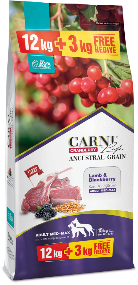 Carni Life Ancestral Grain Kuzu Etli Böğürtlenli Medium Maxı Yetişkin Köpek Maması 12+3 kg STD