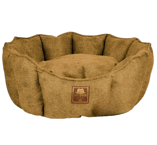 Petboss İstiridye S (Sarı)