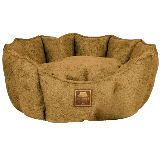 Petboss İstiridye S (Sarı)