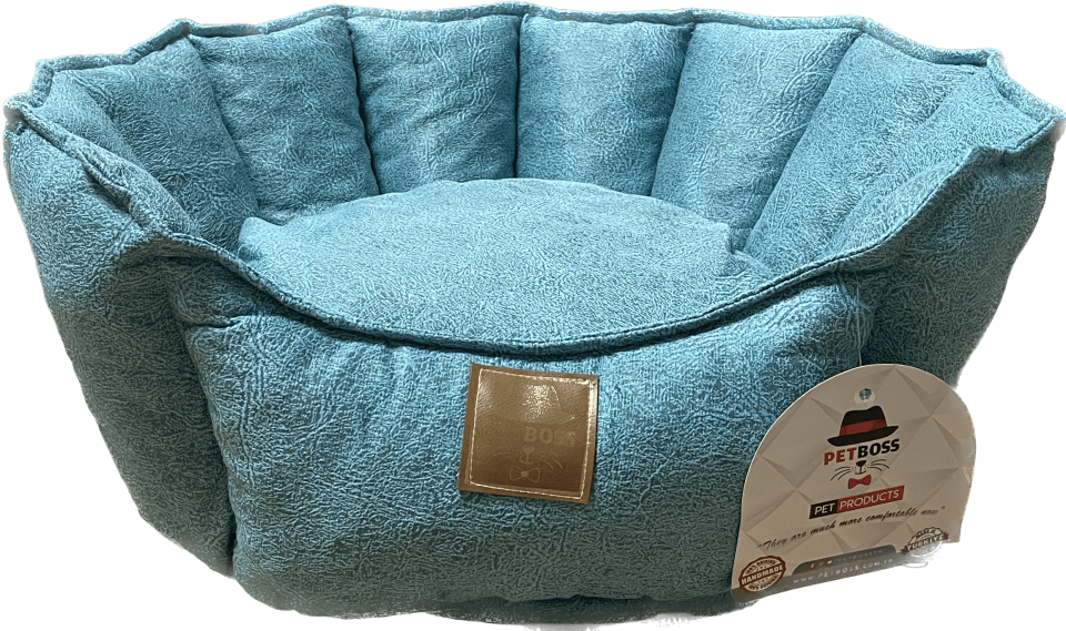 Petboss İstiridye S (Turkuaz)