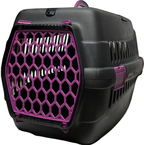İba Pet Plastik 1 Numaralı Box Mor STD