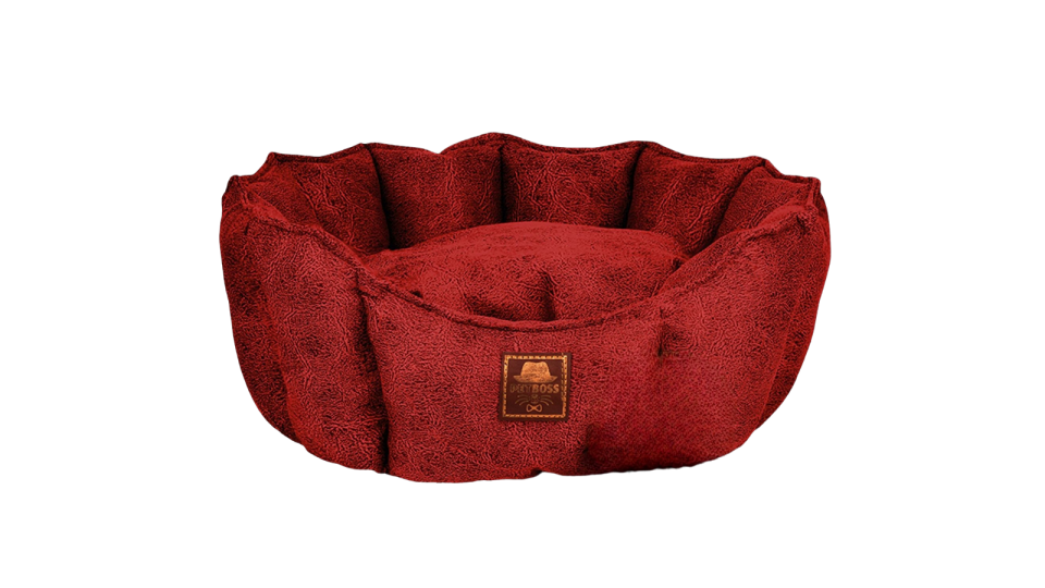 Petboss İstiridye M (Kırmızı)