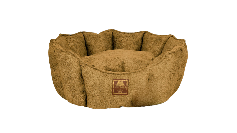 Petboss İstiridye M (Sarı)