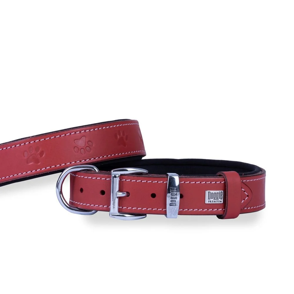 Doggie Konfor Deri Pati Desenli Boyun Tasması Kırmızı 2,5X37-45Cm