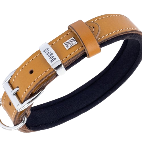 Doggie Konfor Deri Pati Desenli Boyun Tasması Kamel 2,5X37-45Cm