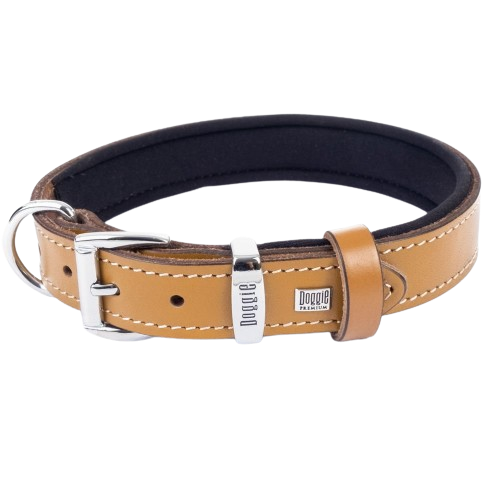 Doggie Konfor Deri Pati Desenli Boyun Tasması Kamel 2,5X37-45Cm