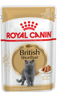 Royal Canin British Shorthair Adult Yetişkin Kedi Yaş Maması 85 gr