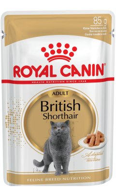 Royal Canin British Shorthair Adult Yetişkin Kedi Yaş Maması 85 gr