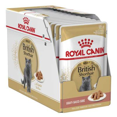 Royal Canin British Shorthair Adult Yetişkin Kedi Yaş Maması 85 gr