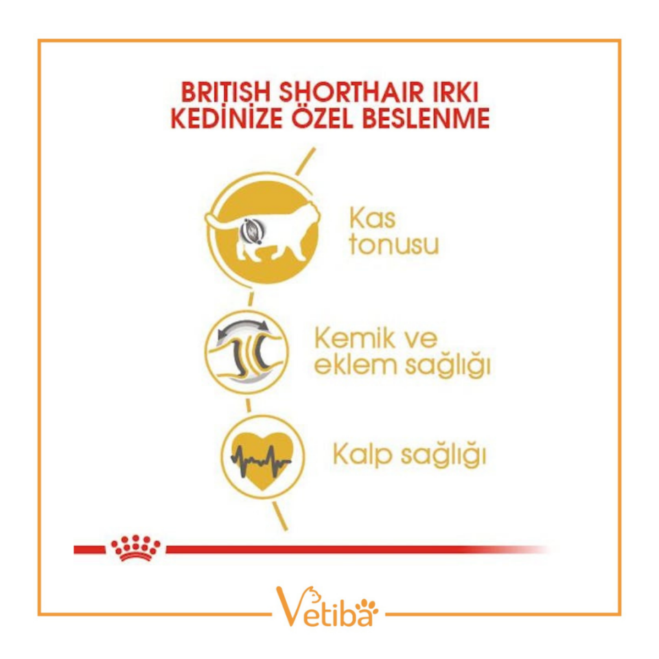 Royal Canin British Shorthair Adult Yetişkin Kedi Yaş Maması 85 gr
