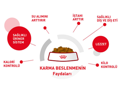 Royal Canin Instinctive Jelly Yetişkin Kedi Yaş Maması 85 gr